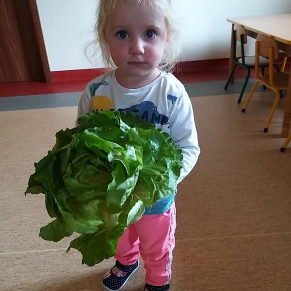 dziecko-z-salata